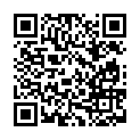 臺灣嘉義 地方法院	114司執字第013993號 (弘股)-QR CODE