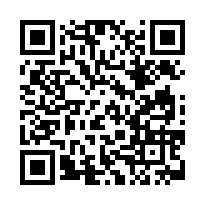 臺灣桃園 地方法院	114司執字第041133號 (天股)-QR CODE