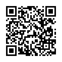 臺灣臺南 地方法院	113司執字第127615號 (正股)-QR CODE