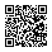 臺灣嘉義 地方法院	114司執字第028710號 (實股)-QR CODE