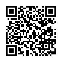 臺灣嘉義 地方法院	114司執字第040516號 (東股)-QR CODE