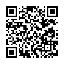 臺灣新北 地方法院	113司執字第212449號 (霄股)-QR CODE