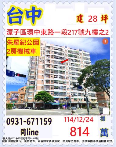 潭子法拍大樓-0